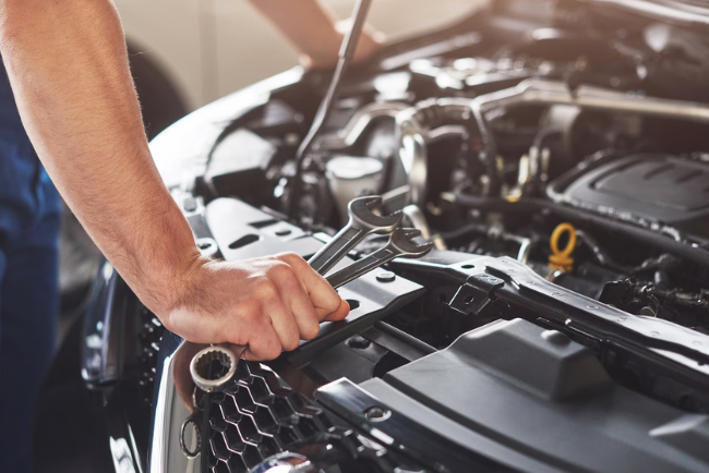 logo evelina 2market 3